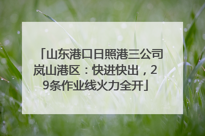 山东港口日照港三公司岚山港区：快进快出，29条作业线火力全开