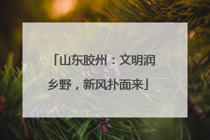 山东胶州：文明润乡野，新风扑面来
