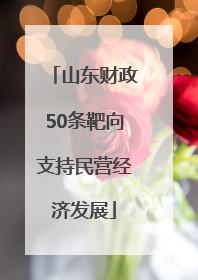 山东财政50条靶向支持民营经济发展