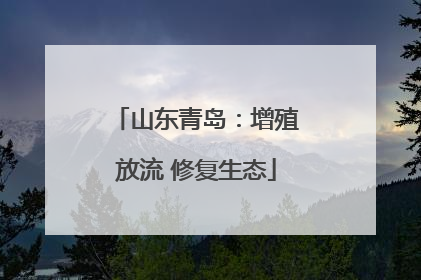 山东青岛：增殖放流 修复生态