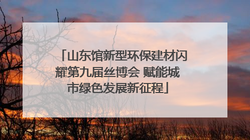 山东馆新型环保建材闪耀第九届丝博会 赋能城市绿色发展新征程