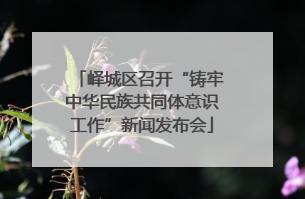 峄城区召开“铸牢中华民族共同体意识工作”新闻发布会