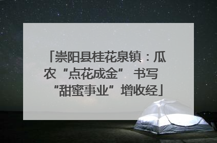 崇阳县桂花泉镇：瓜农“点花成金” 书写“甜蜜事业”增收经