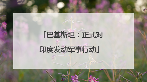 巴基斯坦：正式对印度发动军事行动