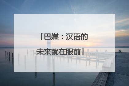 巴媒：汉语的未来就在眼前