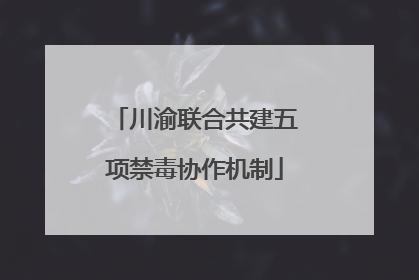 川渝联合共建五项禁毒协作机制