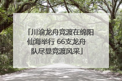 川渝龙舟竞渡在绵阳仙海举行 66支龙舟队尽显竞渡风采
