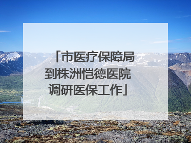 市医疗保障局到株洲恺德医院调研医保工作