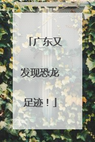 广东又发现恐龙足迹！
