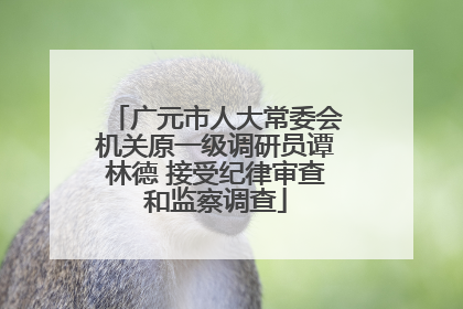 广元市人大常委会机关原一级调研员谭林德 接受纪律审查和监察调查
