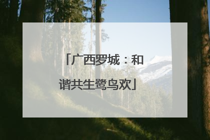 广西罗城：和谐共生鹭鸟欢