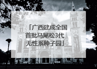 广西建成全国首批马尾松3代无性系种子园