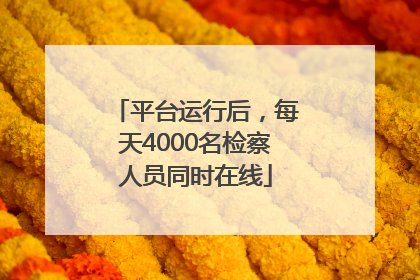 平台运行后，每天4000名检察人员同时在线