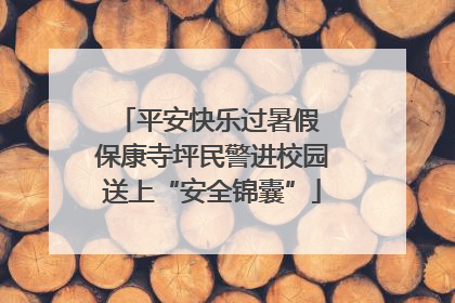平安快乐过暑假 保康寺坪民警进校园送上“安全锦囊”