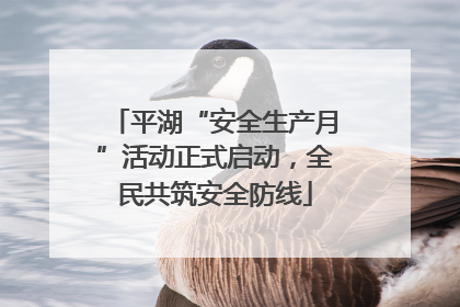 平湖“安全生产月”活动正式启动，全民共筑安全防线