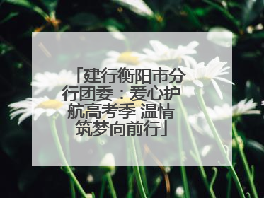 建行衡阳市分行团委：爱心护航高考季 温情筑梦向前行