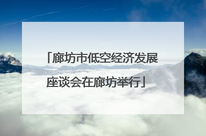 廊坊市低空经济发展座谈会在廊坊举行