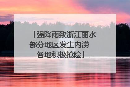 强降雨致浙江丽水部分地区发生内涝 各地积极抢险