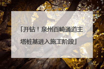开钻！泉州百崎通道主塔桩基进入施工阶段