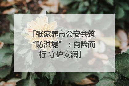 张家界市公安共筑“防洪堤”：向险而行 守护安澜