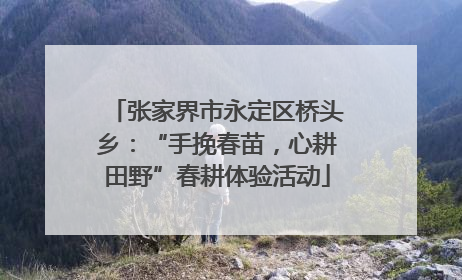 张家界市永定区桥头乡：“手挽春苗，心耕田野”春耕体验活动