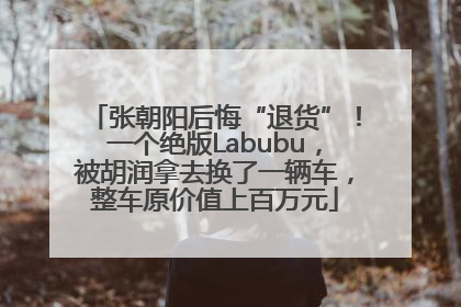 张朝阳后悔“退货”！一个绝版Labubu，被胡润拿去换了一辆车，整车原价值上百万元