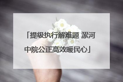 提级执行解难题 漯河中院公正高效暖民心