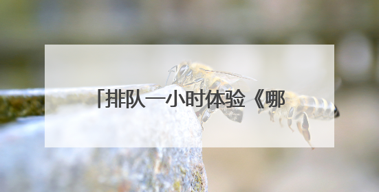 排队一小时体验《哪吒5DVR》，画面精美、舒适度待提升