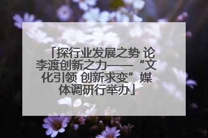 探行业发展之势 论李渡创新之力——“文化引领 创新求变”媒体调研行举办