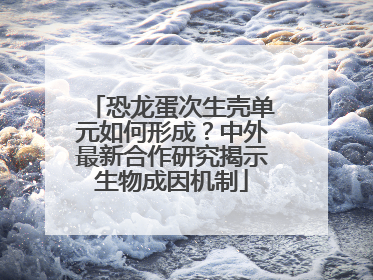 恐龙蛋次生壳单元如何形成？中外最新合作研究揭示生物成因机制