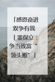 感恩奋进 双争有我丨董保立：争当致富“领头雁”