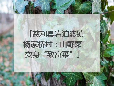 慈利县岩泊渡镇杨家桥村：山野菜变身“致富菜”