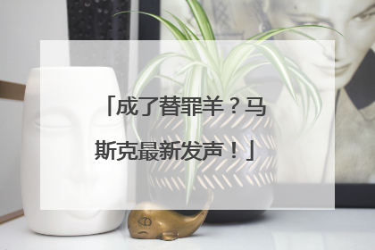 成了替罪羊？马斯克最新发声！