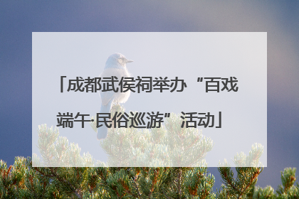 成都武侯祠举办“百戏端午·民俗巡游”活动