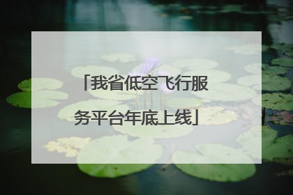 我省低空飞行服务平台年底上线