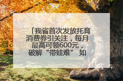 我省首次发放托育消费券引关注，每月最高可领600元，破解“带娃难” 如何不负所“托”？