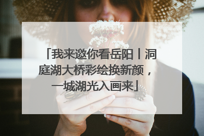 我来邀你看岳阳丨洞庭湖大桥彩绘换新颜，一城湖光入画来