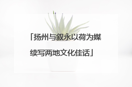 扬州与叙永以荷为媒续写两地文化佳话