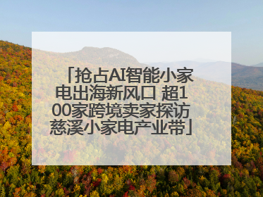 抢占AI智能小家电出海新风口 超100家跨境卖家探访慈溪小家电产业带