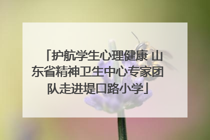 护航学生心理健康 山东省精神卫生中心专家团队走进堤口路小学
