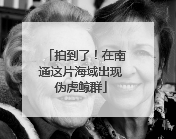 拍到了！在南通这片海域出现伪虎鲸群