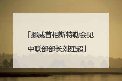 挪威首相斯特勒会见中联部部长刘建超