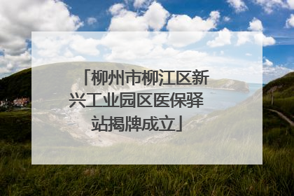 柳州市柳江区新兴工业园区医保驿站揭牌成立