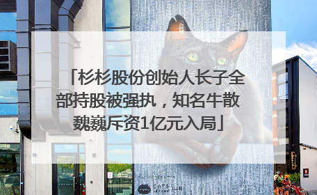 杉杉股份创始人长子全部持股被强执，知名牛散魏巍斥资1亿元入局