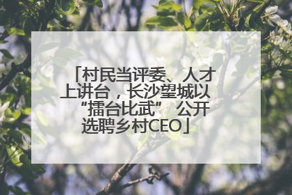 村民当评委、人才上讲台，长沙望城以“擂台比武” 公开选聘乡村CEO