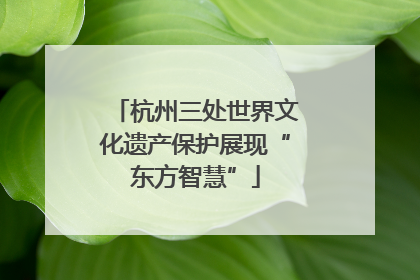 杭州三处世界文化遗产保护展现“东方智慧”