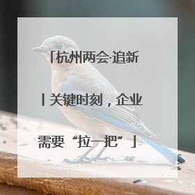 杭州两会·追新丨关键时刻，企业需要“拉一把”