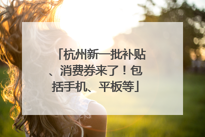 杭州新一批补贴、消费券来了！包括手机、平板等