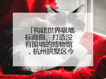 构建世界级地标商圈、打造没有围墙的博物馆，杭州拱墅区今年要干这些事
