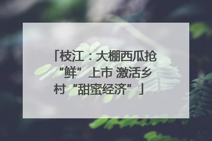 枝江：大棚西瓜抢“鲜”上市 激活乡村“甜蜜经济”